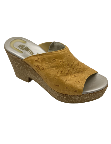 Plantas Ortensia ciabatta donna giallo