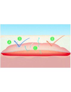 Suprasorb F medicazione in rotolo in film di poliuretano 10pz 2
