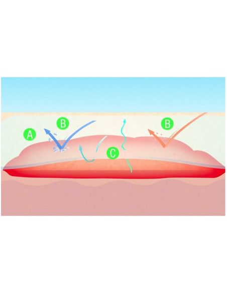 Suprasorb F medicazione in rotolo in film di poliuretano 10pz