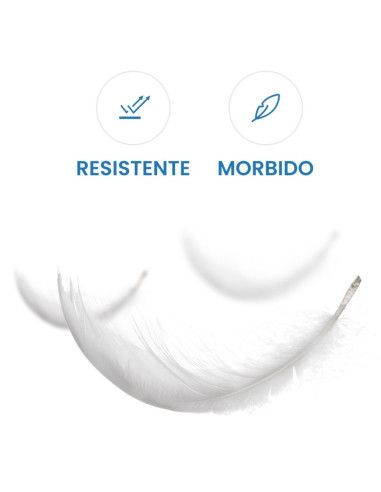 Lenzuolino Medico 60cm x 70Mt 6 Rotoli