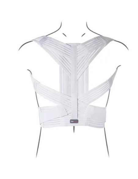 DORSY – TO 1116 Sistema posturale