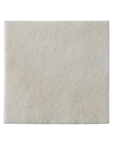 Biatain Alginate Ag medicazione argento in alginato 1 pezzo