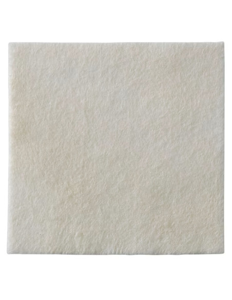 Biatain Alginate Ag medicazione argento in alginato 1 pezzo