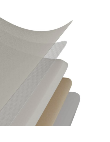 Euroderm Foam Silicone