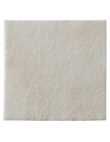 Biatain Alginate Ag medicazione argento in alginato 1 pezzo