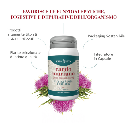 Erba Vita Cardo Mariano | Integratore con Silimarina 80% per Depurazione Fegato | 60 Capsule