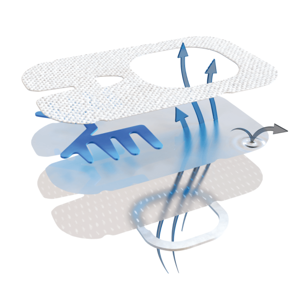 Sorbaview Shield Small |6,4X10,2 cm|Medicazione e sistema di fissaggio integrato | Con finestra | Isola non adesiva | 50 pezzi