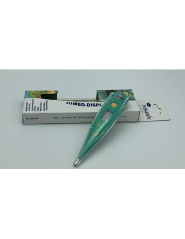 Termometro Clinico Digitale - Thermoval Classic Disney