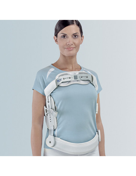 Fgp Iperestensore vertebrale a 3 punti basculante normale F35-100 Fgp Iperestensore vertebrale a 3 punti basculante normale F35-100