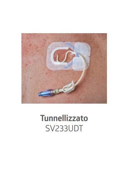 Sorbaview® Shield Medicazione e sistema di fissaggio integrato Periferico 6,7X7,1 cm