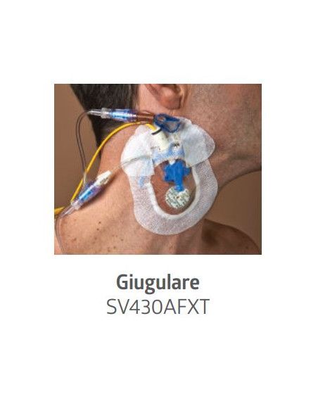 Sorbaview® Shield Medicazione e sistema di fissaggio integrato Contour 9,5X11,8 cm con finestra