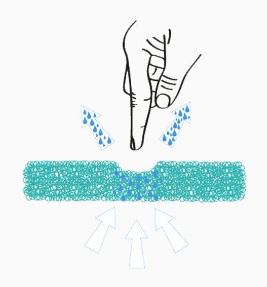 Ligasano struttura alveolare