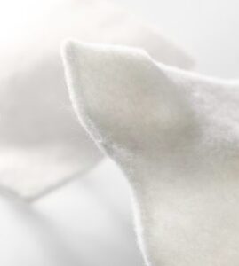 alginato medicazione per piaghe da decubito